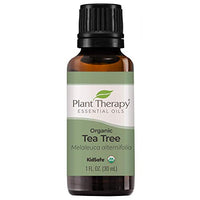 Plant Therapy Organic Tea Tree Oil (Melaleuca) 100% Pure, USDA Certified Organic, Undiluted, Natural Aromatherapy, Therapeutic Grade 30 mL (1 oz)
