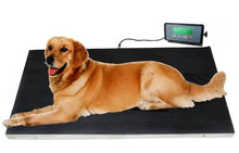 Load image into Gallery viewer, Heavy Duty 660 Pounds Veterinary Dog Scale with Stainless Steel Platform and Rubber Mat for Dog Cat Pet Alpaca Llama Sheep Fish Vet
