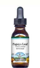 Load image into Gallery viewer, Papaya Leaf Glycerite Liquid Extract (1:5) - No Flavor (1 oz, ZIN: 512807) - 3 Pack
