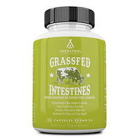 Ancestral Supplements Intestines with Stomach (Tripe)  Supports Gut & Digestive Health (180 Capsules)