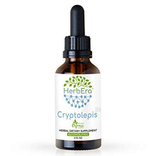Load image into Gallery viewer, Cryptolepis B60 Alcohol-Free Herbal Extract Tincture, Super-Concentrated Wildcrafted Cryptolepis (Cryptolepis Sanguinolenta) Dried Root (2 fl oz)
