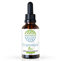 Cryptolepis B60 Alcohol-Free Herbal Extract Tincture, Super-Concentrated Wildcrafted Cryptolepis (Cryptolepis Sanguinolenta) Dried Root (2 fl oz)