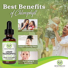 Load image into Gallery viewer, Chlorophyll Liquid Drops  Energy Boost | Immune System Support | Internal Deodorant | Altitude Sickness. Premium Quality  100% Natural, Potent, Minty Taste, 2X Absorption.
