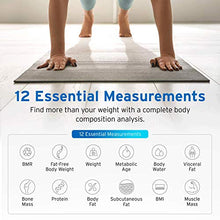 Load image into Gallery viewer, Etekcity Scales for Body Weight, Bathroom Digital Weight and Body Fat Scale for BMI, Rechargeable Smart Bluetooth Body Composition Analyzer, Sync Data with Other Fitness Apps
