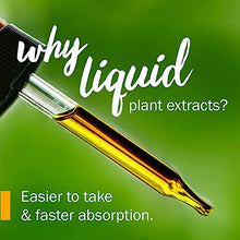 Load image into Gallery viewer, Herb Pharm Cleavers Liquid Extract - 1 Oz (DCLEAV01)
