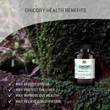 Load image into Gallery viewer, Chicory Capsules - Organic Chicory Root Herbal Supplement - Dietary Support for Digestive Function, Liver &amp; Brain Health - Vegan - 1200mg, 2x100 Caps per Bottle
