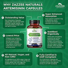 Load image into Gallery viewer, Zazzee Artemisinin, 100 mg per Capsule, 120 Vegan Capsules, 4 Month Supply, Plus 5 mg BioPerine for Enhanced Absorption, Sweet Wormwood Extract, Vegan and Non-GMO

