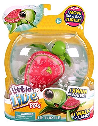 Little Live Pets Turtle - Pinky