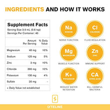 Load image into Gallery viewer, LyteShow Sugar-Free Electrolyte Supplement for Hydration and Immune Support - 50 Single Servings - Keto Friendly - Zinc and Magnesium for Rapid Rehydration, Workout, Muscle Recovery and Energy - Vegan
