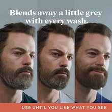 Load image into Gallery viewer, Just For Men Control GX Grey Reducing Beard Wash Shampoo, Gradually Colors Mustache and Beard, Leaves Facial Hair Softer and Fuller, 4 Fl Oz - Pack of 3
