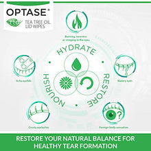 Load image into Gallery viewer, OPTASE Tea Tree Oil Eyelid Wipes - Eyelid Cleansing Wipes for Dry Eyes - Tea Tree Wipes for Blepharitis Treatment - Preservative Free, Natural Ingredients - Step 2 Cleanse - TTO Eye Wipes, Box of 20
